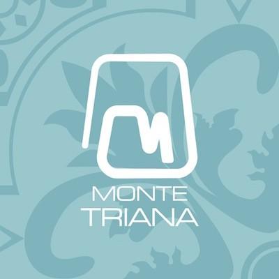 Identidad gráfica | Hotel Monte Triana. Sevilla. 1 Web