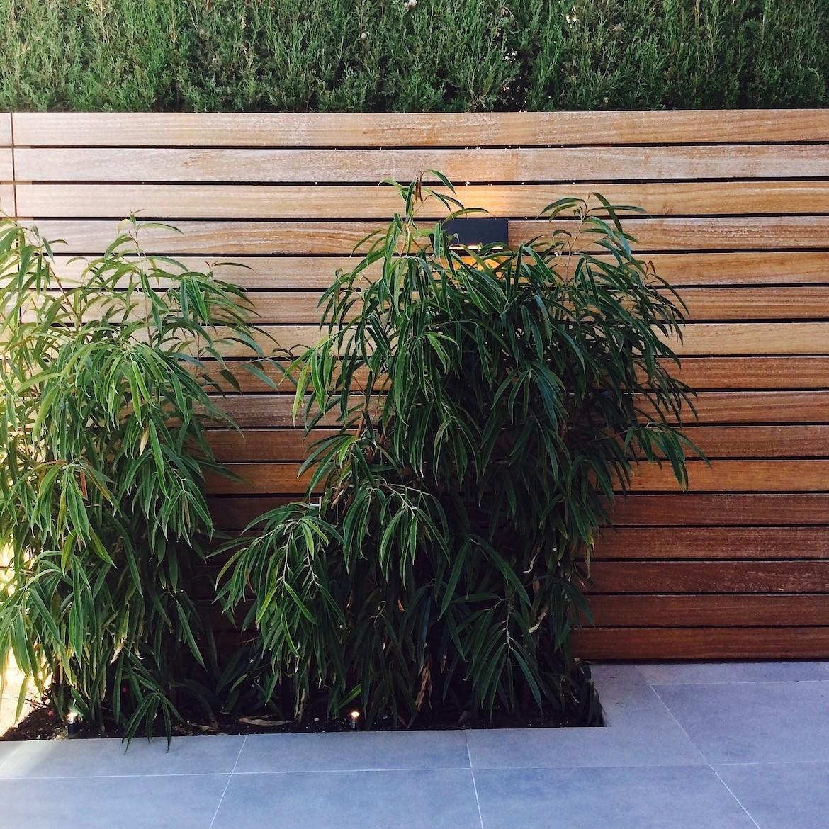 Proyecto de integración de salón comedor con exterior - jardín . 2 paisajismo-patio-sevilla-tomares