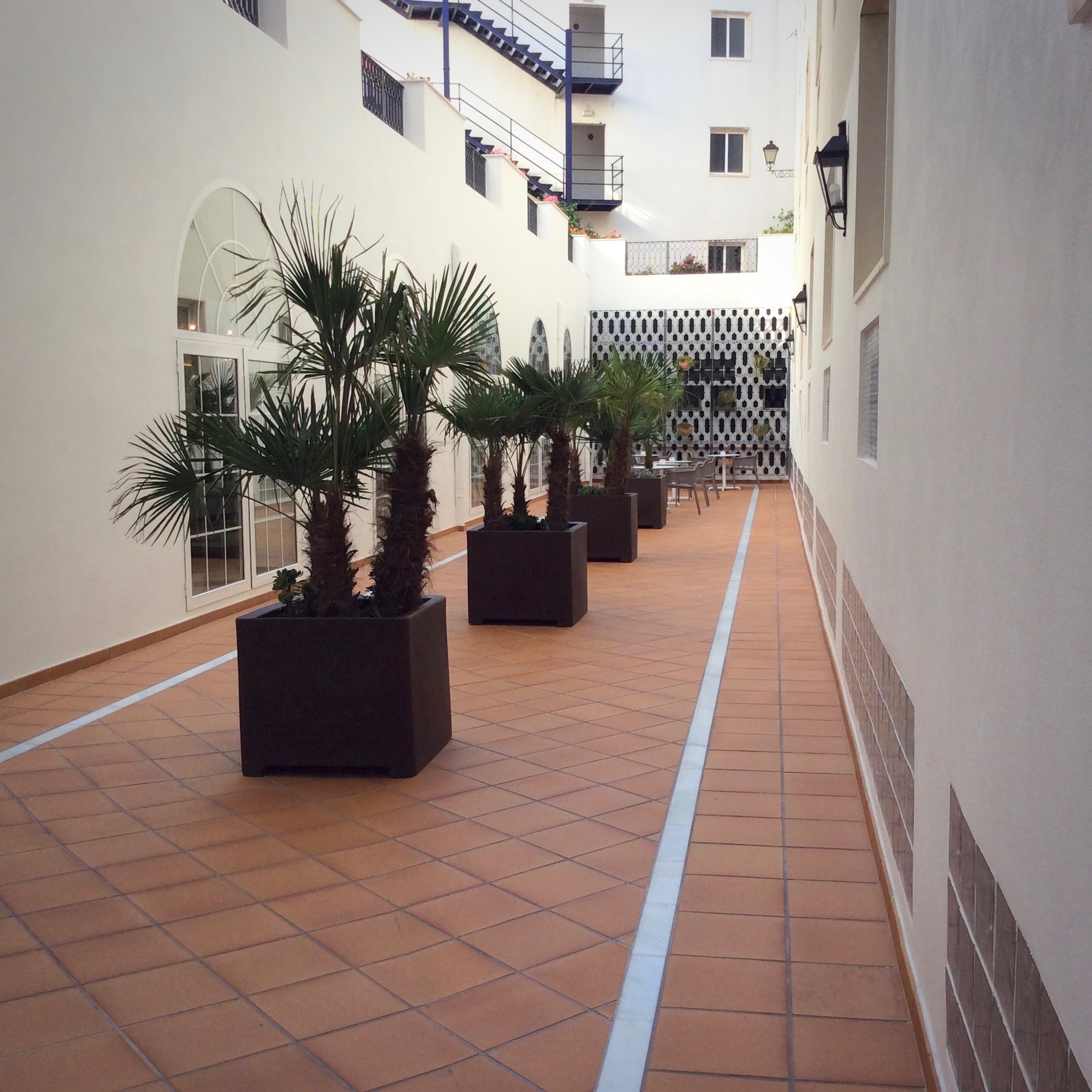 patio-hotel-monte-triana-sevilla