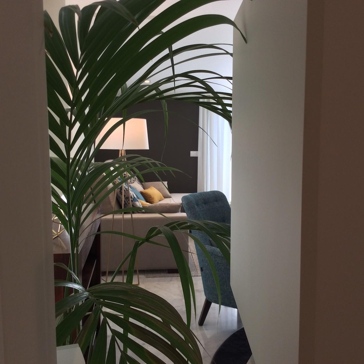 Una mirada hacia el jardín | Proyecto de integración de patio en salón y reforma de patio 4 residencial-montequinto-sevilla-04